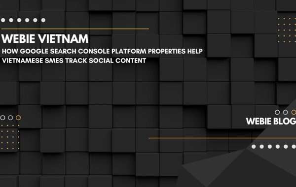 How Google Search Console Platform Properties Help Vietnamese SMEs Track Social Content